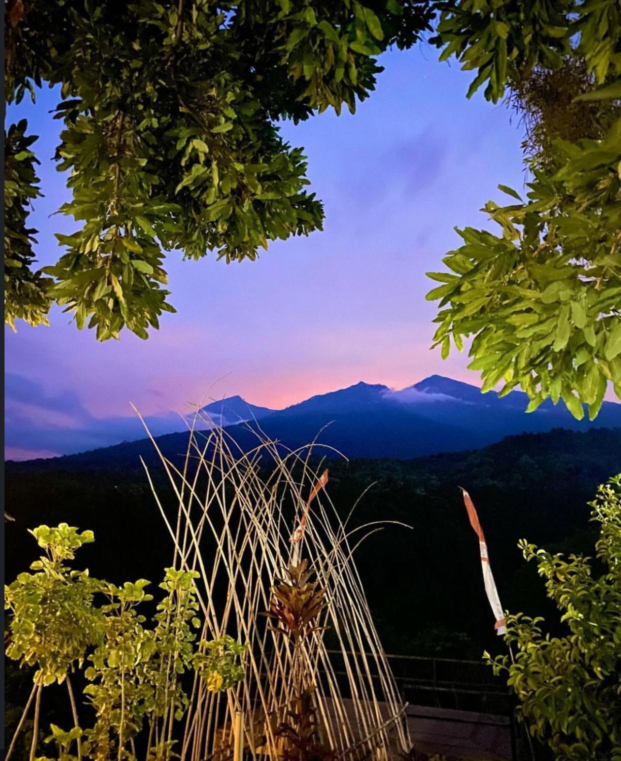 Pondok Senaru Cottages Ngoại thất bức ảnh